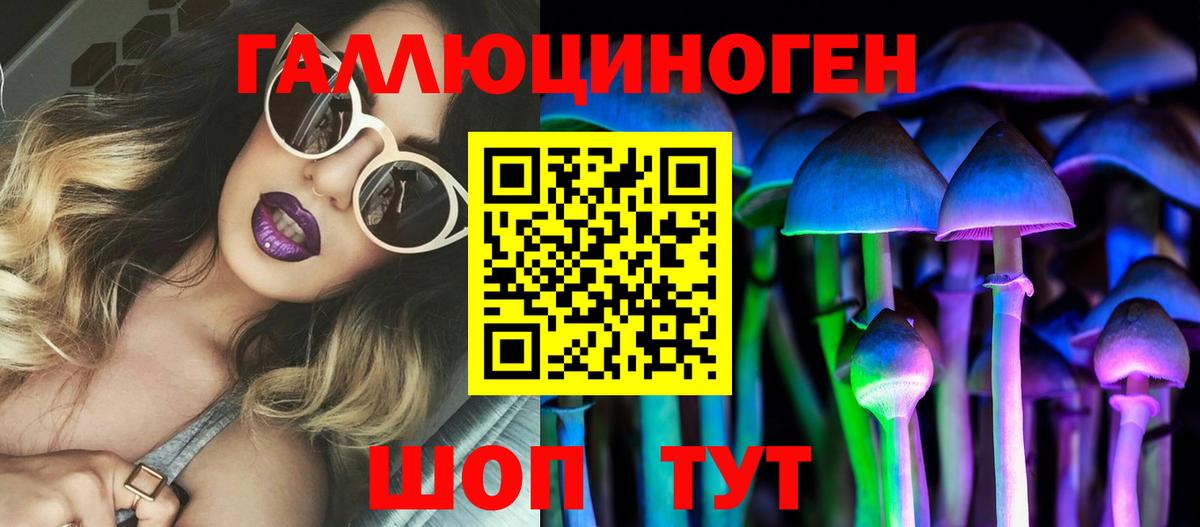 Псилоцибиновые грибы GOLDEN TEACHER Россия